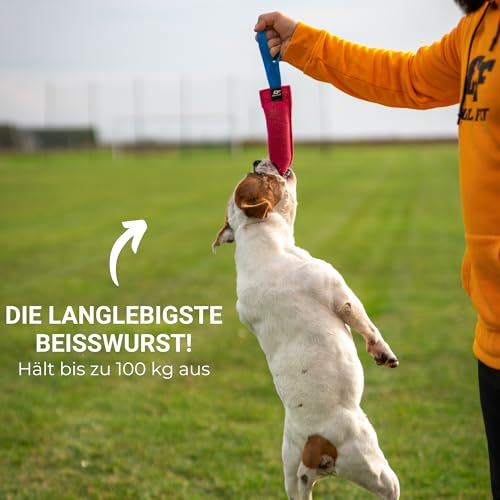 Bull Fit Baumwolle-Nylon Beisswurst für Hunde, 30 cm mit Handschlaufe - Sehr robustes Hundespielzeug für Training IGP IPO Schutzhund, Hundesport, Tauziehen und Zerrspiele mit Hund (Schwarz)