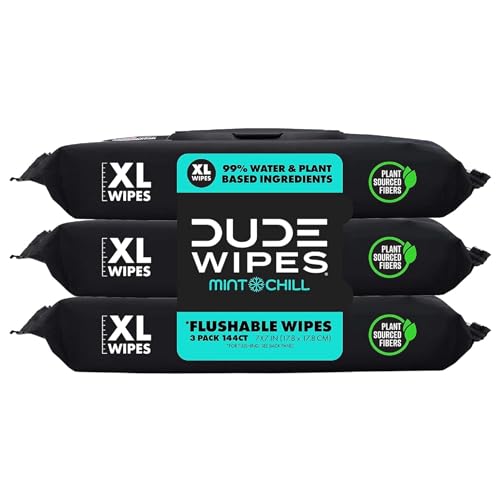 DUDE Wipes – Flushable Wipes – 3 Pack, 144 Wipes – Mint Chill Extra-Large Adult Wet Wipes – Vitamin-E, Aloe, Eucalyptus & Tea Tree Oils – Septic and Sewer Safe