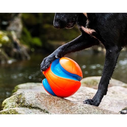 Image of Chuckit! Amphibious Mega Ball or Roller That Floats for Medium and Large Dogs | Doubles as a Fun Fetch Toy for Both Water and Land