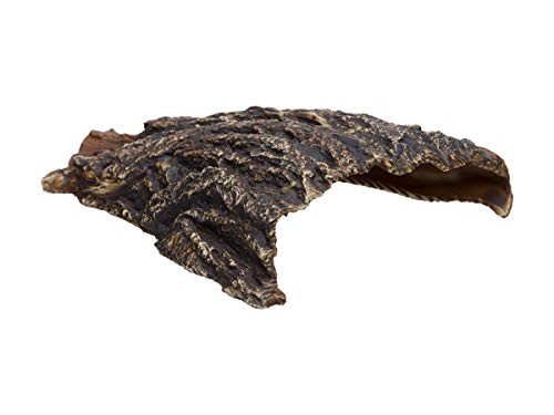 Plecoceramics Aquarium Cave - Ceramic Betta Fish Tank Decor - Natural Aquarium Decor - Large Reptile Hide - Fish cave Hideout - Snake Hide - Cave for Cichlids and plecos (Cave) by Plecoceramics - Image 2