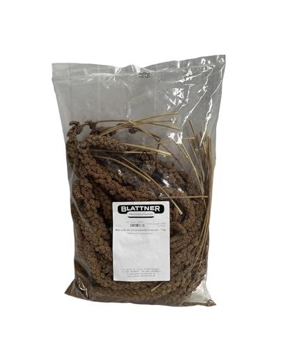 Blattner Mijo Amarillo en espigas | Cola de Zorra Amarillo para pájaros | Semilla nutricional con aporte energía Extra 1 Kg