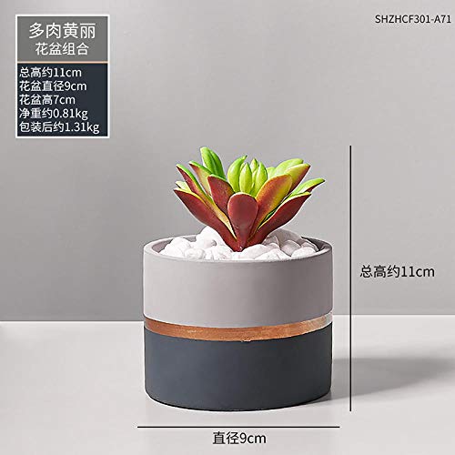 afbaby Planta de Flores Artificiales Planta Verde Adornos en macetas Piso Maceta decoración Creativa Tortuga nórdica Espalda Hoja Carne IKEA Bonsai