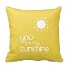 Guse Case Funny Polyester Throw Pillow Case Home Custom Cushion Cover 18 X 18 Inches