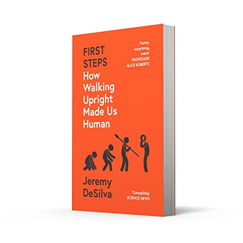 First Steps: How Walking Upright Made Us Human