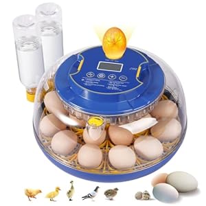 18 Egg Incubators for Hatching Eggs, Chicken Egg Incubator with Automatic Egg Turning and Temperature Humidity Control, 360° Clear View Lid or Home, Farm, Classroom, Hatching Chicken, Duck,Quail,Goose