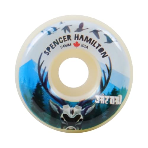 TGM Skateboards CHC223-KX785 Quality Skateboard