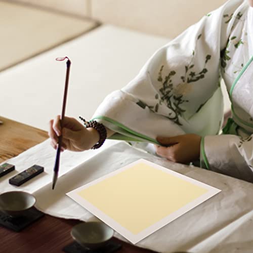 VILLCASE 10sheets Professional Calligraphy Practicing Paper Thick Xuan Paper for Chinese Painting for Brush Ink Writing Present for Beginners and Art Lovers