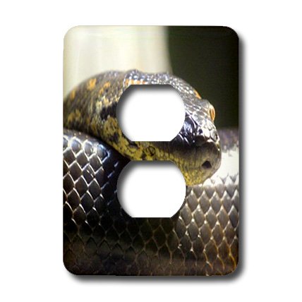 Capot de prise portrait de serpent cache double prise pour masquer le plastique blanc