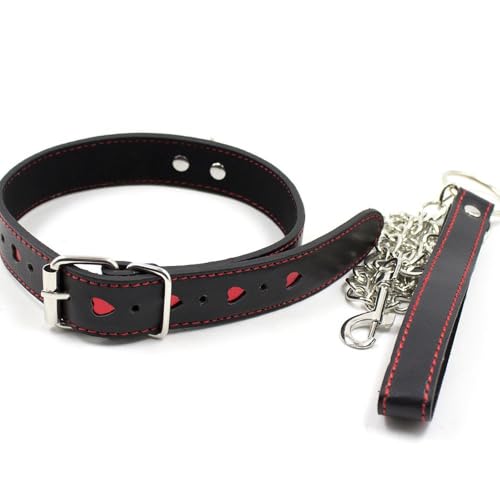 Collier en cuir anti-traction et laisse chaîne pour chien