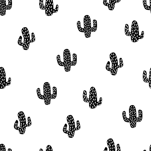 Papier peint chambre cactus 250x250cm lavable pour masquer défauts mur