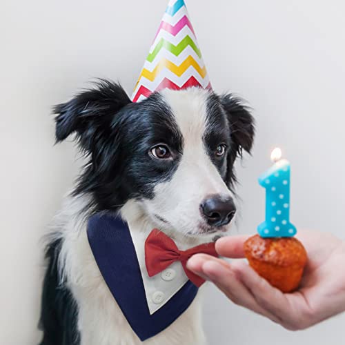 FUAMEY Dog Tuxedo,Formal Dog Wedding Bandana Dog Collar with Bow Tie Dog Birthday Costume Adjustable Pet Party Tux Dog Wedding Attire,Dog Valentines Outfit Cosplay for Small Medium Large Pets Blue XS FUAMEY Dog Tuxedo,Formal Dog Wedding Bandana Dog Collar with Bow Tie Dog Birthday Costume Adjustable Pet Party Tux Dog Wedding Attire,Dog Valentines Outfit Cosplay for Small Medium Large Pets Blue XS