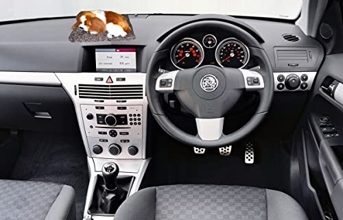 Image of NIKAVI Car Dashboard Soft Toy - car Decorations (M7)
