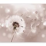 murando Fototapete Pusteblumen 350x256 cm Vlies Tapeten Wandtapete XXL Moderne Wanddeko Design Wand Dekoration Wohnzimmer Schlafzimmer Büro Flur Pusteblume Blumen Natur bokeh vintage b-C-0072-a-c