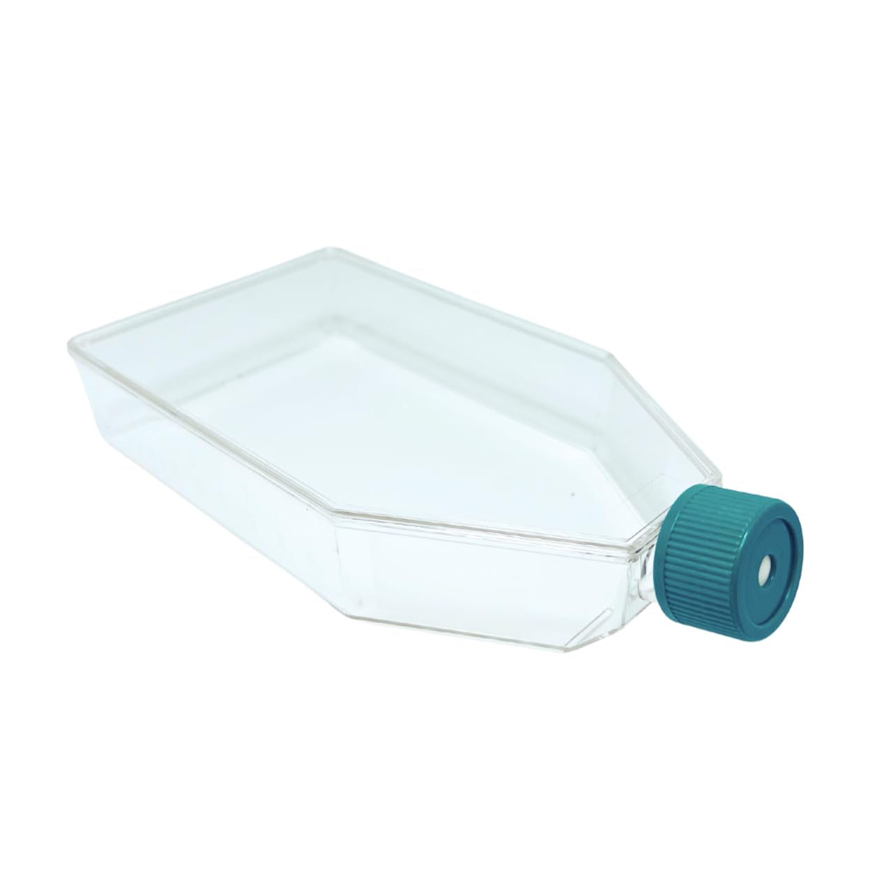 SPL Cell Culture Flask 175 cm2 (T175) Filter Cap, Treatment, Sterile, 40/Case