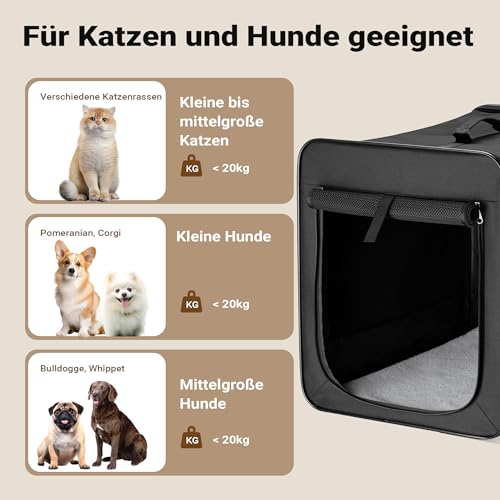 Wiltec Faltbare Transportbox für Hunde, Katze L (76x56x61 cm), robust, leicht, sicher, Hundebox mit entnehmbarem Kissen, Schwarz