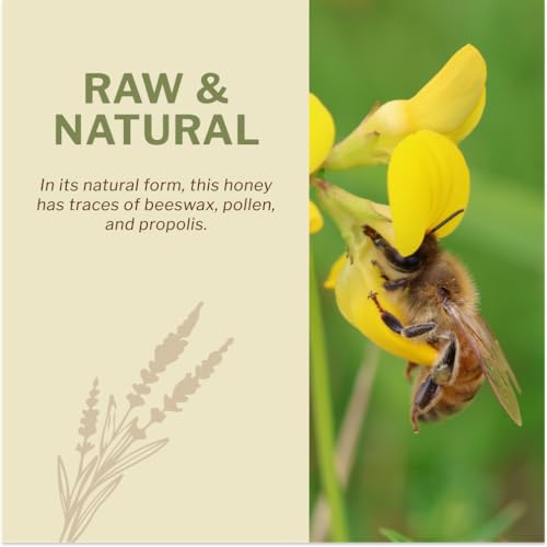 Oneroot 100% Organic Canadian Wildflower Honey - 17.6 Oz/1.1 Lbs, Unheated & Creamed - Nutrient-Rich, Natural Sweetener with Enzymes - Thick & Pure Raw Unfiltered Honey