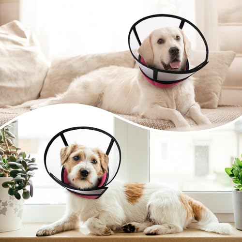 Image of ASENKU Adjustable Dog Cone Collar, Comfortable Cone for Dogs After Surgery, Soft Protective Pet Recovery Collar for Large Medium Small Dogs, Elizabethan Collar Dog Red, M