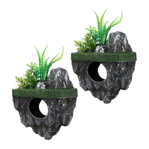 ledmomo 2 VANAEB A ̉Bt ip ϐf Mыƃx^