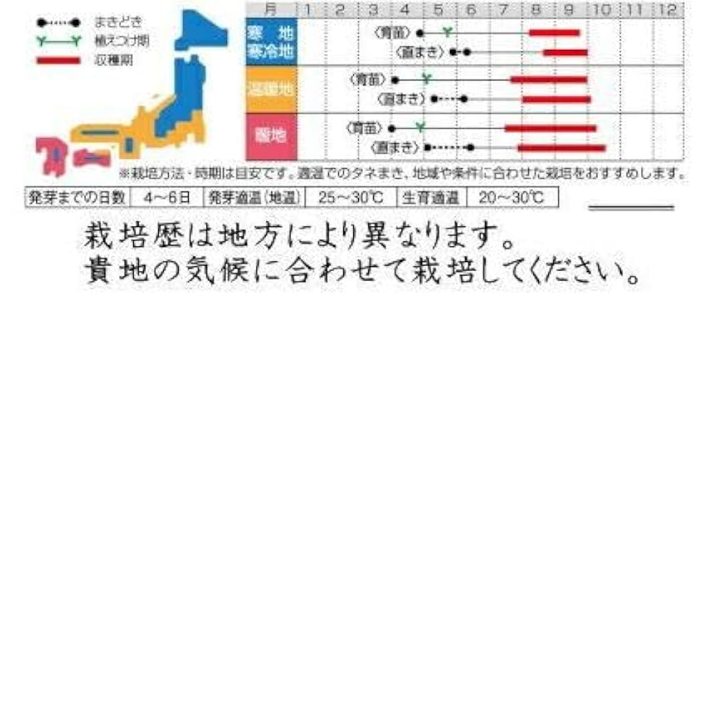 特大で長いひょうたん 41z1W8fIX7L._UF350,350_QL50_.jpg