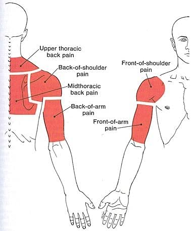 Healthmateforever High Quality Vibrating Massage Relaxation Pillow #TOP6