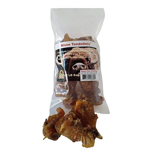 Great Dog Bison Tendolinis - 1/2 LB Bag - Tendon Chews for Dogs Sourced and Made in USA