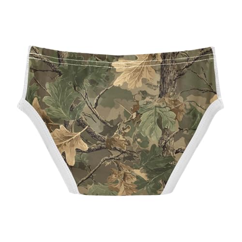 Baby Boys Underwears Briefs Cotton Little Boys Underwears Toddler Underpants available in 2T to 8Y3