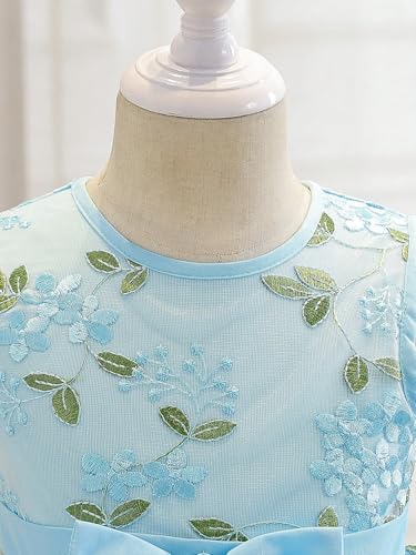 Image of Tagas Girls' Princess Dress | Girl Dress |Dresses birthdaydress for Babygirls | A-Line Knee-Length Dress
