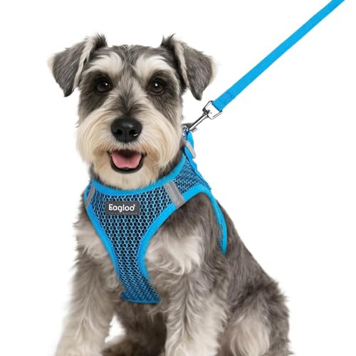 Eagloo Small Dog Harness and Leash Set, Step in Puppy Vest with Breathable Soft Mesh, Walking Reflective Pet Harness for Small Dogs, Blue, S