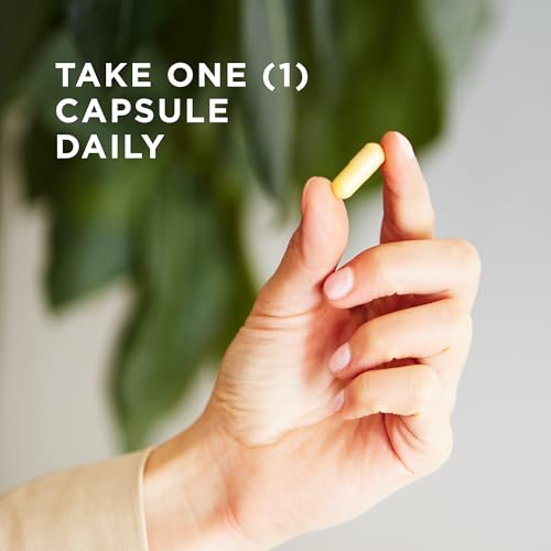 Solgar Vitamin B-Complex Vegetable Capsules, Count of 50 (Extra High Potency) - Supports Mental Performance and Energy - For Tiredness and Fatigue - Vegan - Image 4