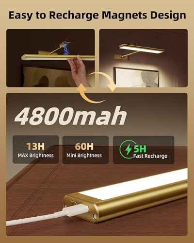 EZVALO Picture Light for Wall, 16\'\' Rechargeable 4800mAh Battery Lights Wireless Remote, Dimmable Magnetic LED Art Painting Light with 3 Color Temperatures, Display for Gallery, Living Room, Hallway