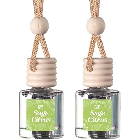 CE Craft Car Air Hanging Fragrance Oil Diffuser Cover