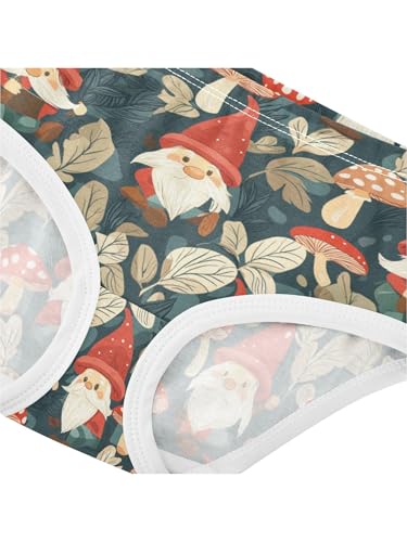 ZZKKO Forest Gnomes and Mushrooms Girls Underwear Toddler Panties for Girls Comfort Brief Size 2T4