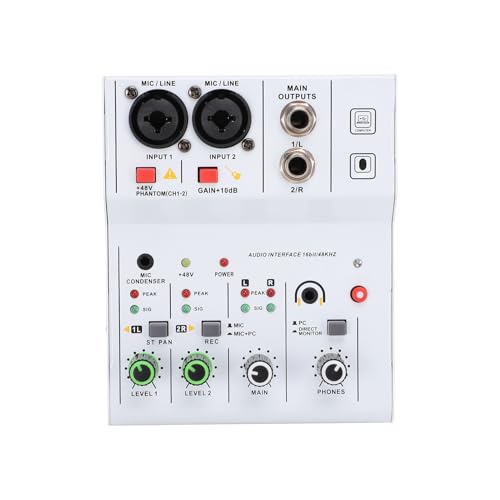 Opzioni di alimentazione stabili: dotato di un affidabile alimentatore da 3 V per microfoni a condensatore e di una comoda porta di ricarica TYPE-C da 5 V, questo mixer a 2 garantisce prestazioni e stabilità ottimali durante l'uso, sia in studio che sul palco.