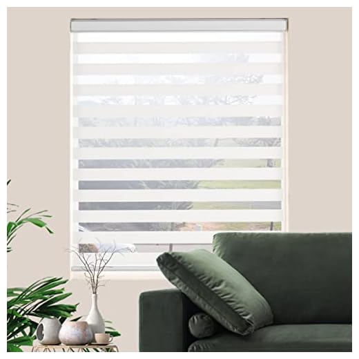 Zebra Roller Shades for Elegant Privacy