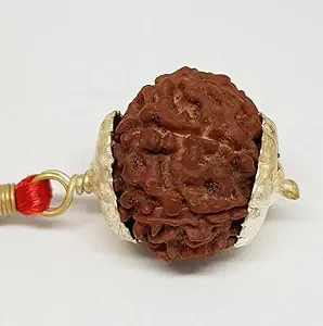 All Stone Nau Mukhi Rudraksha Original Certified Durga Maa Rudraksha 9 Mukhi Rudraksha Seeds Genuine Nine Face Rudraksh with Silver Capping for Men & Women.