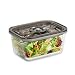 Caso VacuBoxx Eco L - Vakuum-Frischebehälter / 1 Behälter mit...