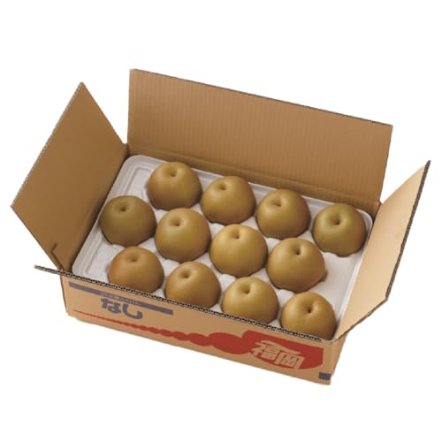 [2026年8月中旬〜発送予定]豊水梨(5kg)