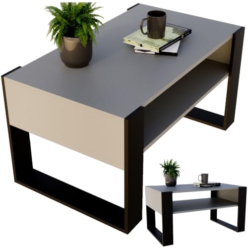 CraftPAK Wohnzimmer Tisch für Couch aus hochwertigem Holz, moderner Couchtisch mit zusätzlicher Ablagefläche, Sofatisch für Wohnzimmer, wohnzimmertisch grau, Farbe Grau-Schwarz