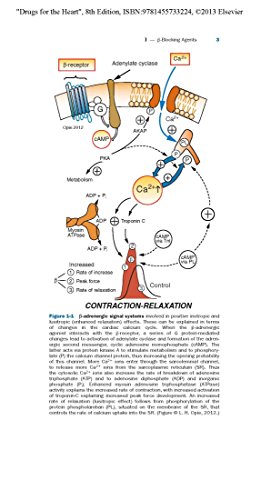 Drugs for the Heart: Expert Consult - Online and Print - Thumbnail 4