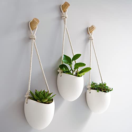 Kazai.® | Porcelain Wall Vases | 3 Piece Set | Including Wooden Hooks | Matte White by Kazai. - Used condition - US$35.96