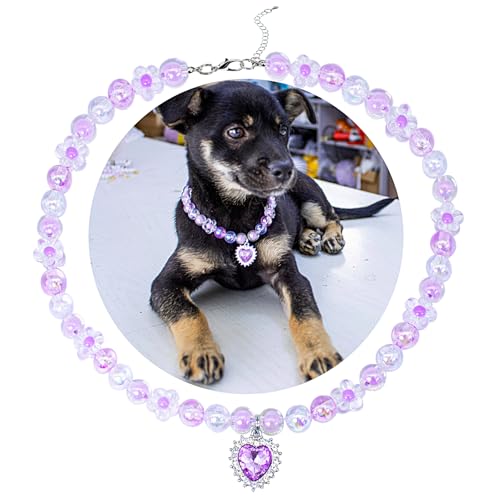 SM4BED ̎ p[lbNXẢԂ̃r[YÂ郉CXg[_ChA^p̒߉\ȃybgWG[AXL 17C`