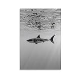 Shark in The Water Black And White Photo Art Posters Canvas Art Poster And Wall Art Picture Print Modern Family Bedroom Decor Posters 16x24inch(40x60cm)