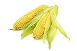 Locally Grown Corn, 3 Ears