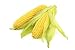 Locally Grown Corn, 3 Ears