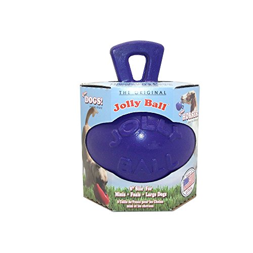 Other Jolly Pets Dual Jolly Ball