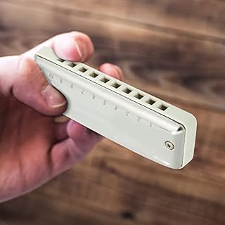 Dilwe Harmonica, Blues Harmonica 10 Trous Mouthorgue F Key Portable Couverture en Acier Inoxydable Haute Brillance pour… - Les Beatles, Paul McCartney, John Lennon, RIngo Starr, George Harrison Dilwe Harmonica, Blues Harmonica 10 Trous Mouthorgue F Key Portable Couverture en Acier Inoxydable Haute Brillance pour… – Image 6