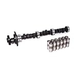 Lunati 10690703LK Voodoo 219/227 Hydraulic Flat Cam/Lifter Kit for Buick 181-252 V6