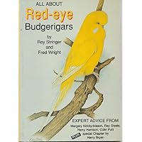 All About Red-eye Budgerigars