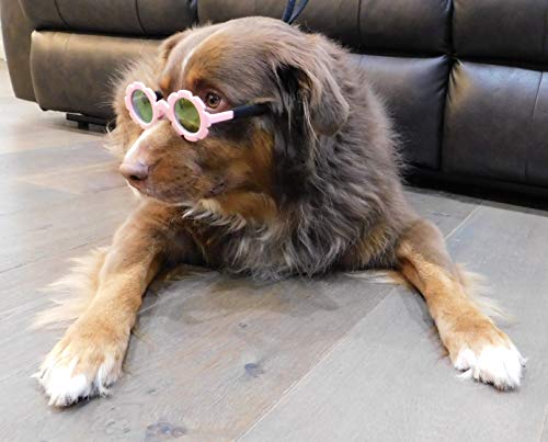 G001 Dog Pet Costume Prop Round Sunglasses Medium Breeds 20-40lbs (Flower Pink-Pink Mirror) - Image 4