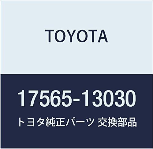 Toyota Genuine Parts - Support, Exhaust Pip (17565-13030)